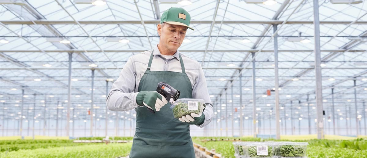 Advanced Automation Delivers Smarter Food Labeling for Local Produce Manufacturer