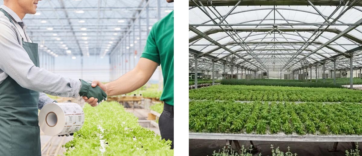 Advanced Automation Delivers Smarter Food Labeling for Local Produce Manufacturer