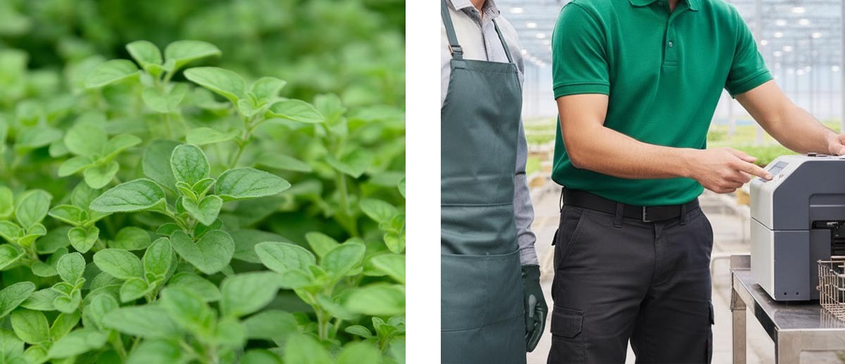 Advanced Automation Delivers Smarter Food Labeling for Local Produce Manufacturer