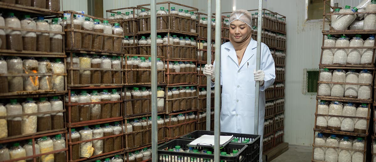 brady freezerbondz barcdoe labels